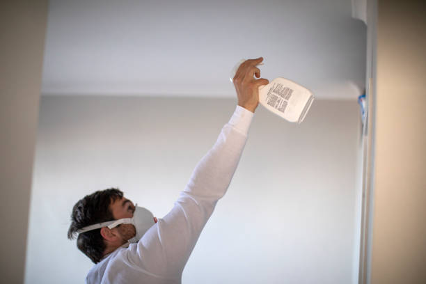 Best Office Mold Removal Services  in Roseau, MN