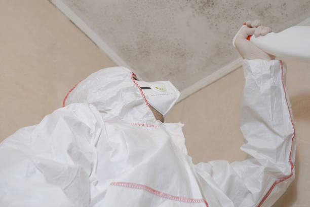 Best Mold Testing  in Roseau, MN
