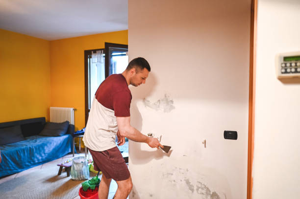 Best Professional Mold Removal  in Roseau, MN